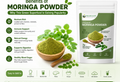 best moringa powder in India