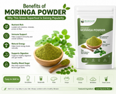Benefits of Moringa Powder: Why This Green Superfood Is Gaining Popularity
